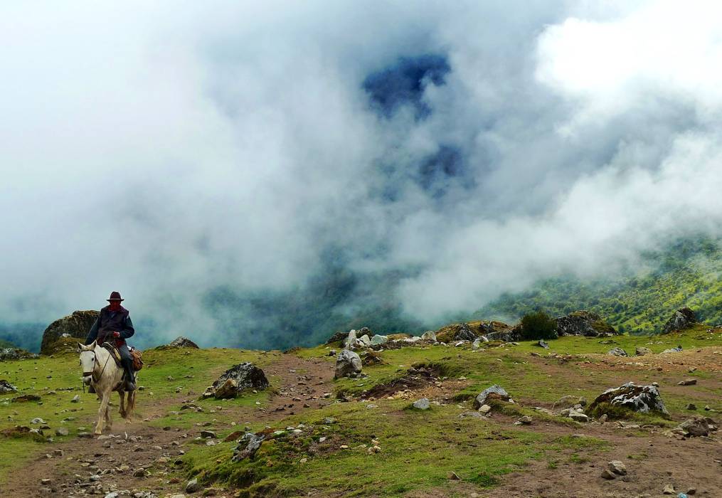 طبیعت زیبا و زندگی دوباره
